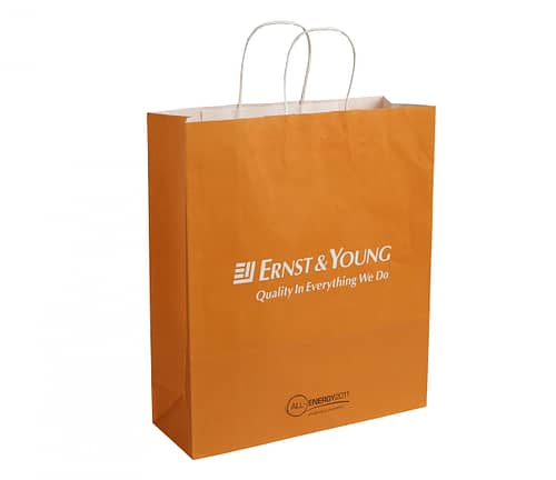 Ernst & Young Twisted Handle Kraft Paper Bag