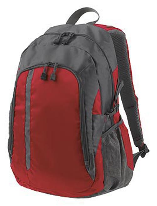 Galaxy Backpack in Grey and Crimson